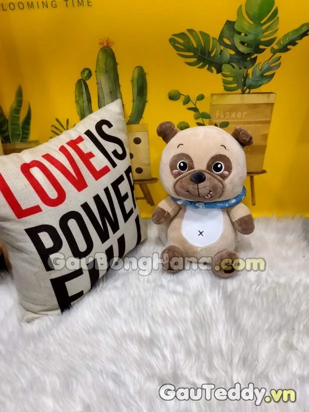 Chó Bông Choàng Khăn