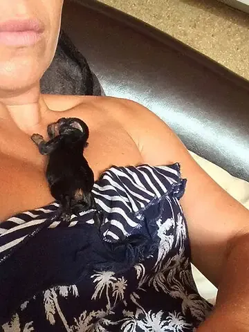 Huấn Luyện Và Xã Hội Hóa Từ Sớm: Nền Tảng Cho Tính Cách Vàng