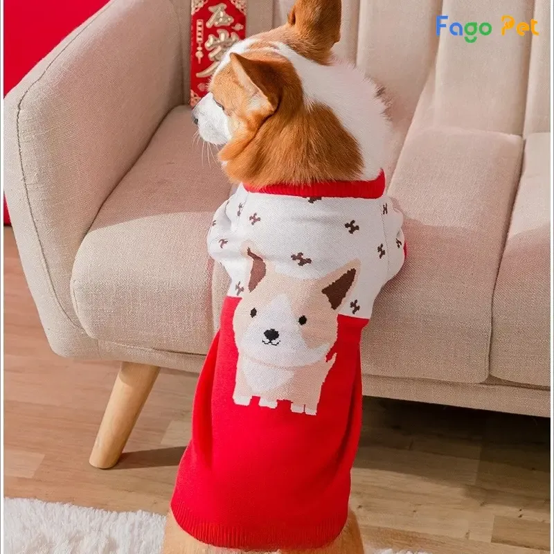 Chó Corgi mặc áo len đỏ có hình gấu dễ thương