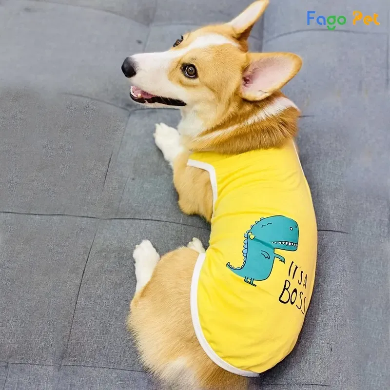 Chó Corgi mặc áo thun màu xanh lá cây đơn giản thoải mái