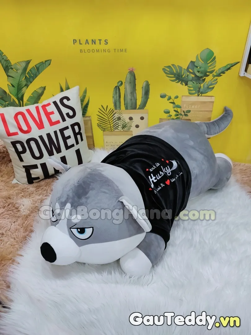 Chó Husky Áo Nhung