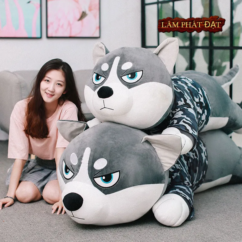 Chó Husky ngáo với đôi mắt xanh đặc trưng và bộ lông dày trắng xám