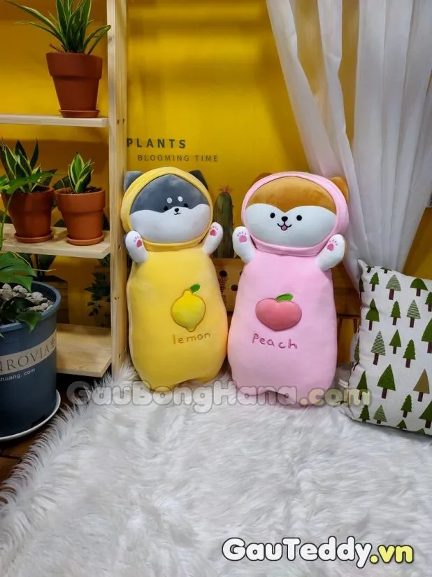 Chó Shiba CosPlay Đứng