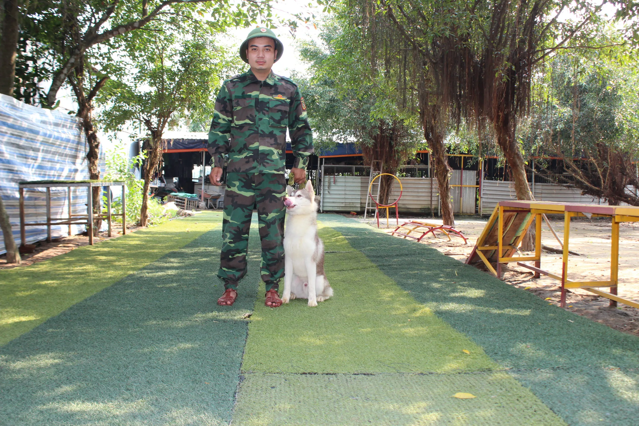 Chủ nhân và chó Husky đang tập đi dạo cạnh nhau với dây xích, bài học kiểm soát hành vi