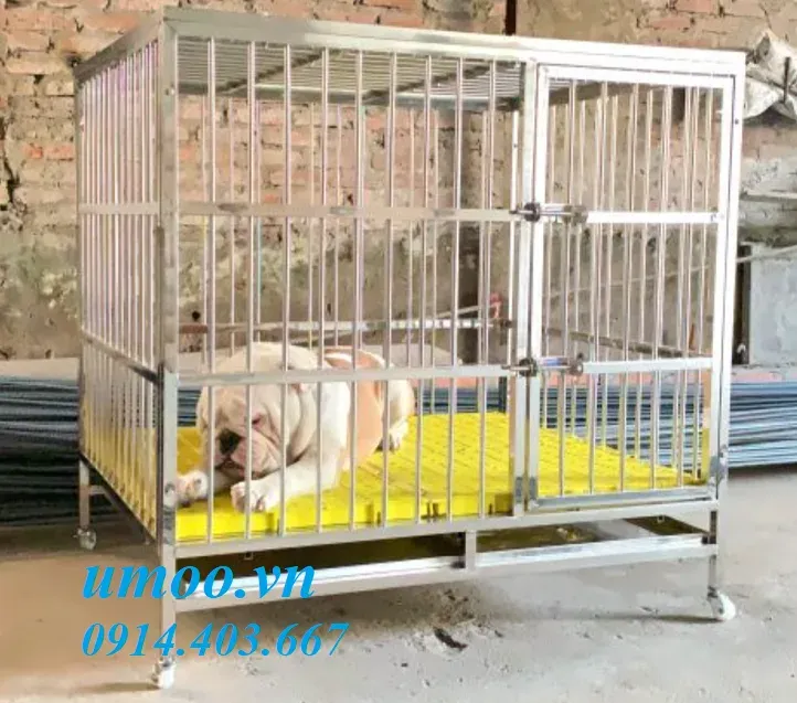 Chủ nuôi cần chọn chuồng chó inox lớn, chắc chắn cho Alaska