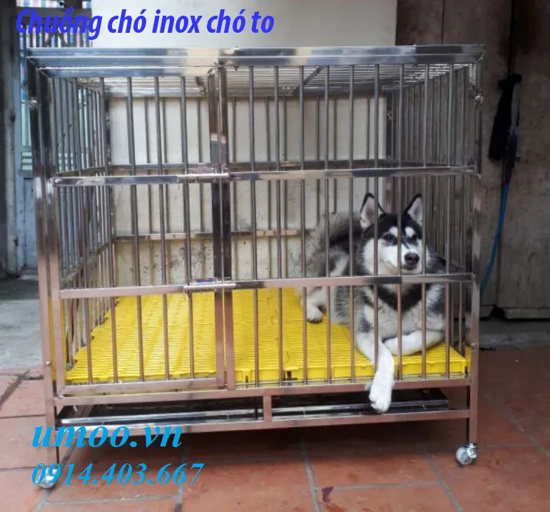 Chuồng chó inox cho chó lớn Alaska và Becgie