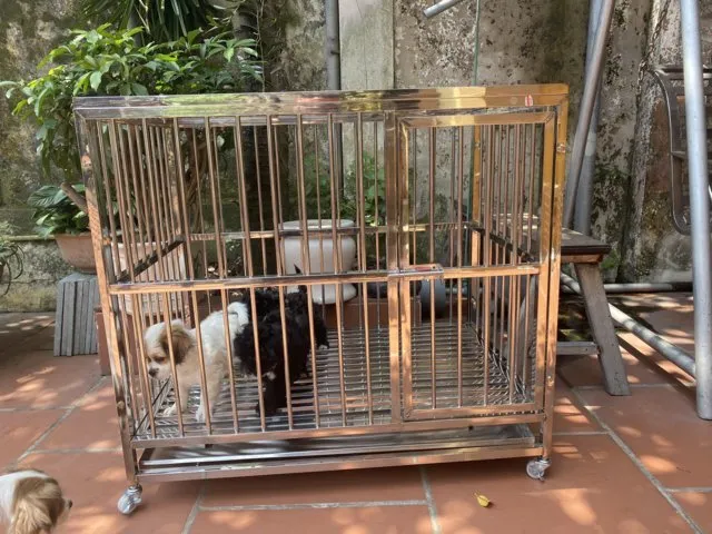 Chuồng chó inox mã T95 kích thước 95x64x80cm