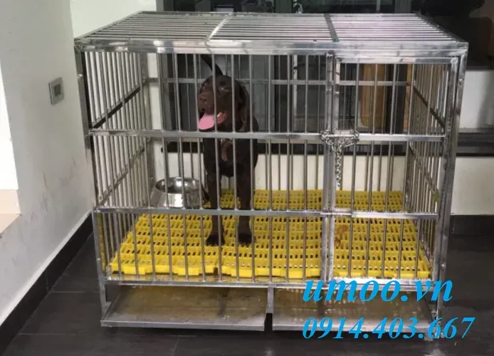 Chuồng chó inox T40 có không gian rộng rãi, tiện nghi cho chó lớn