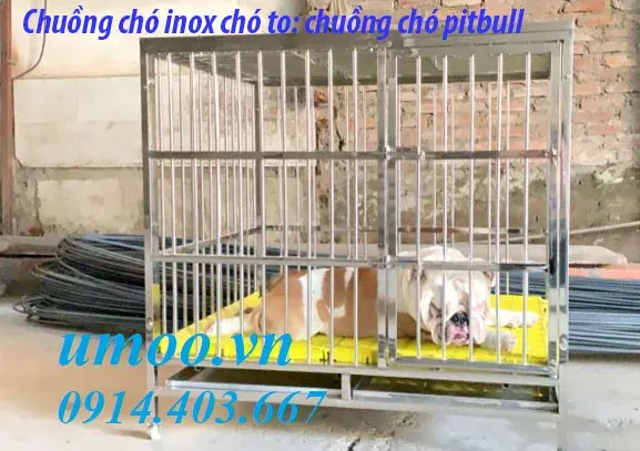 Chuồng chó inox T40 phù hợp với chó Alaska hoặc chó Becgie có cân nặng lớn