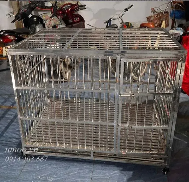 Chuồng chó inox T40 sẵn sàng để lắp đặt và sử dụng