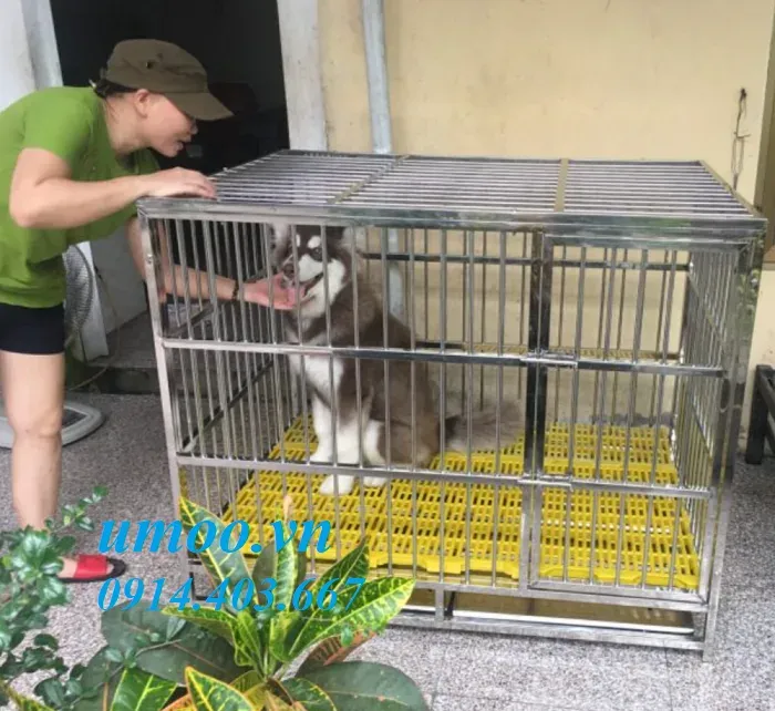 Chuồng chó inox T40 với các phụ kiện lắp ghép chắc chắn