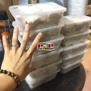 Chuột bạch pinky size nhỏ nhất, thích hợp cho rắn con và cá rồng bột