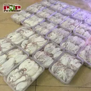 Chuột bạch trưởng thành (adult mice) dùng làm thức ăn chính cho trăn rắn lớn