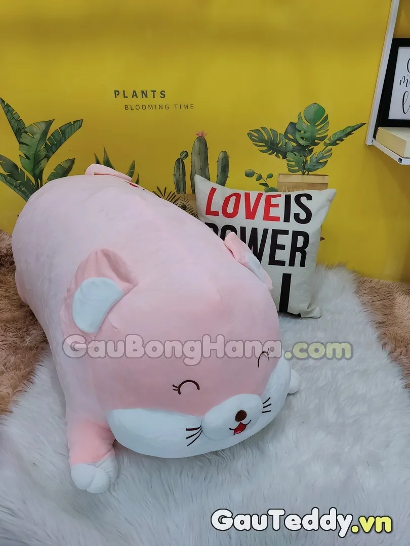 Chuột Bông Mắt Híp