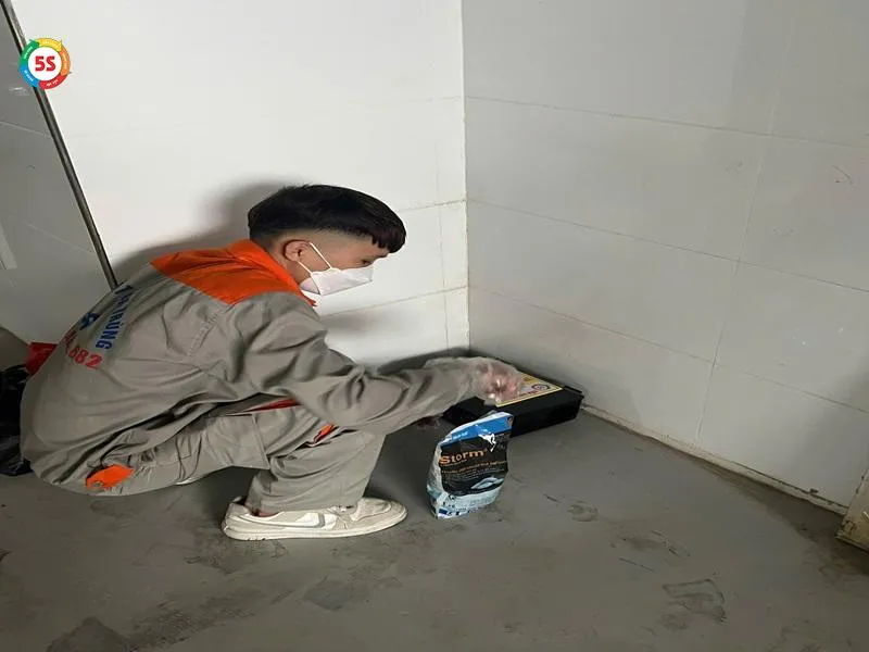 Chuột chù đang tìm kiếm thức ăn trong góc tối, nhấn mạnh nguy cơ chuột chù vào nhà