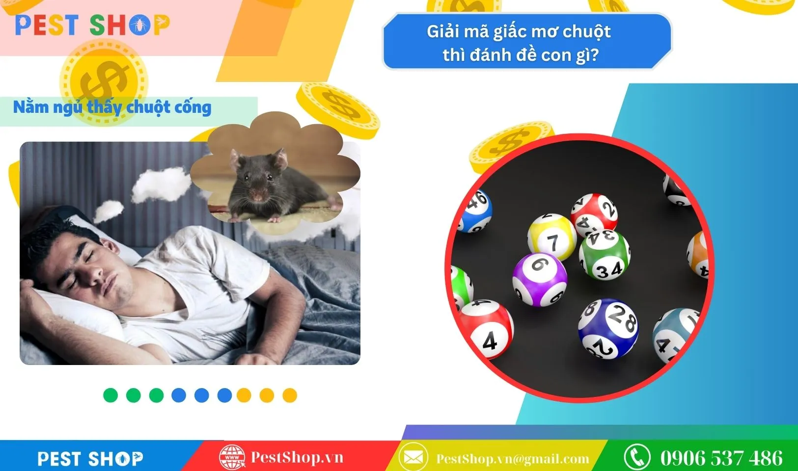 Chuột cống khổng lồ bò trong hệ thống thoát nước, số con chuột cống may mắn.