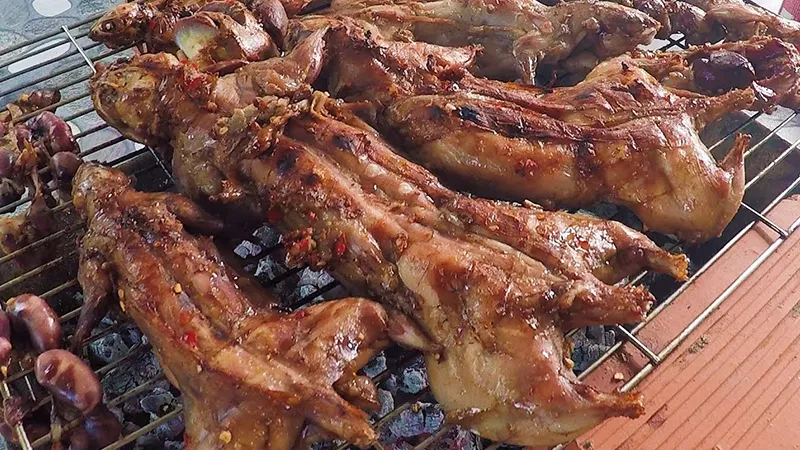 Chuột đồng nướng than hồng kẹp thanh tre, chuột cống nhum làm món gì ngon nhất