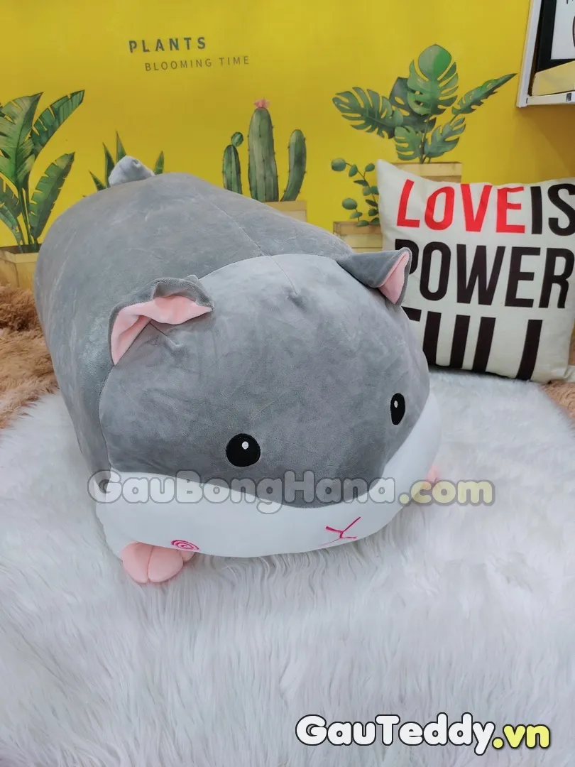 Chuột Hamster Bông