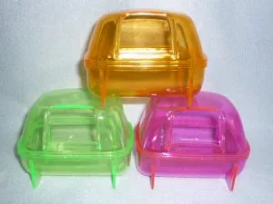 Chuột hamster đang lăn lộn trong cát tắm để vệ sinh bộ lông