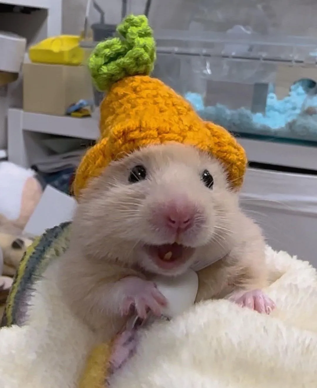 chuột hamster đang nằm nghỉ trong lồng sau khi được sơ cứu sốc nhiệt, alt mô tả các bước cách chị sốc nhiệt cho chuột hamster