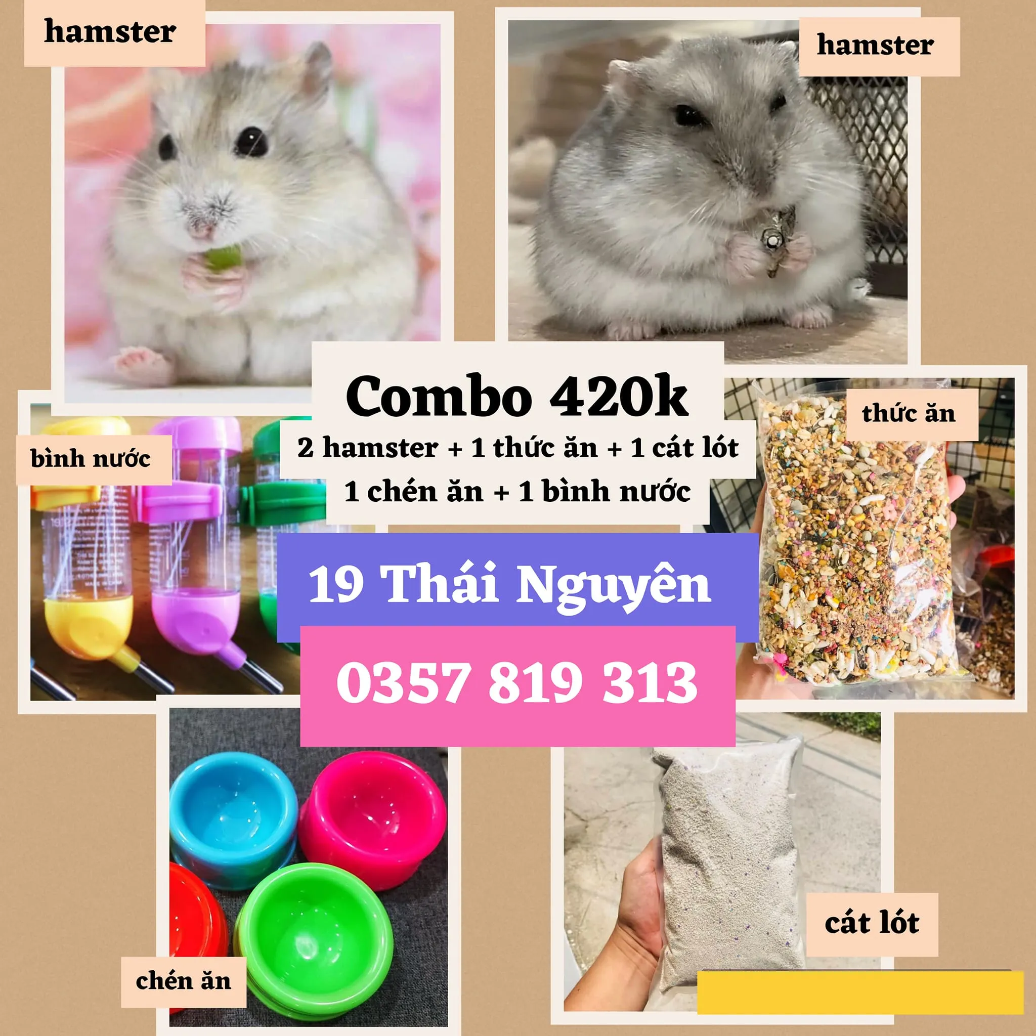 Chuột Hamster nằm ngủ trong lồng