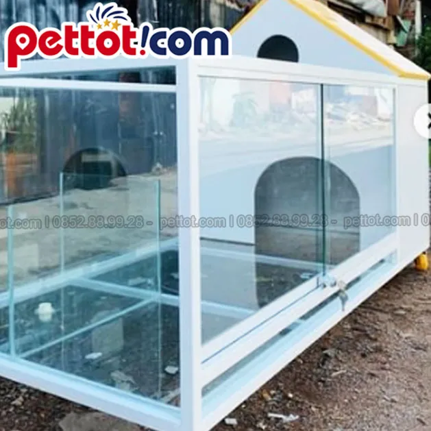 Chuột Hamster Roborovski ở góc lồng, dấu hiệu căng thẳng hoặc buồn chán dẫn đến cắn đồ vật.