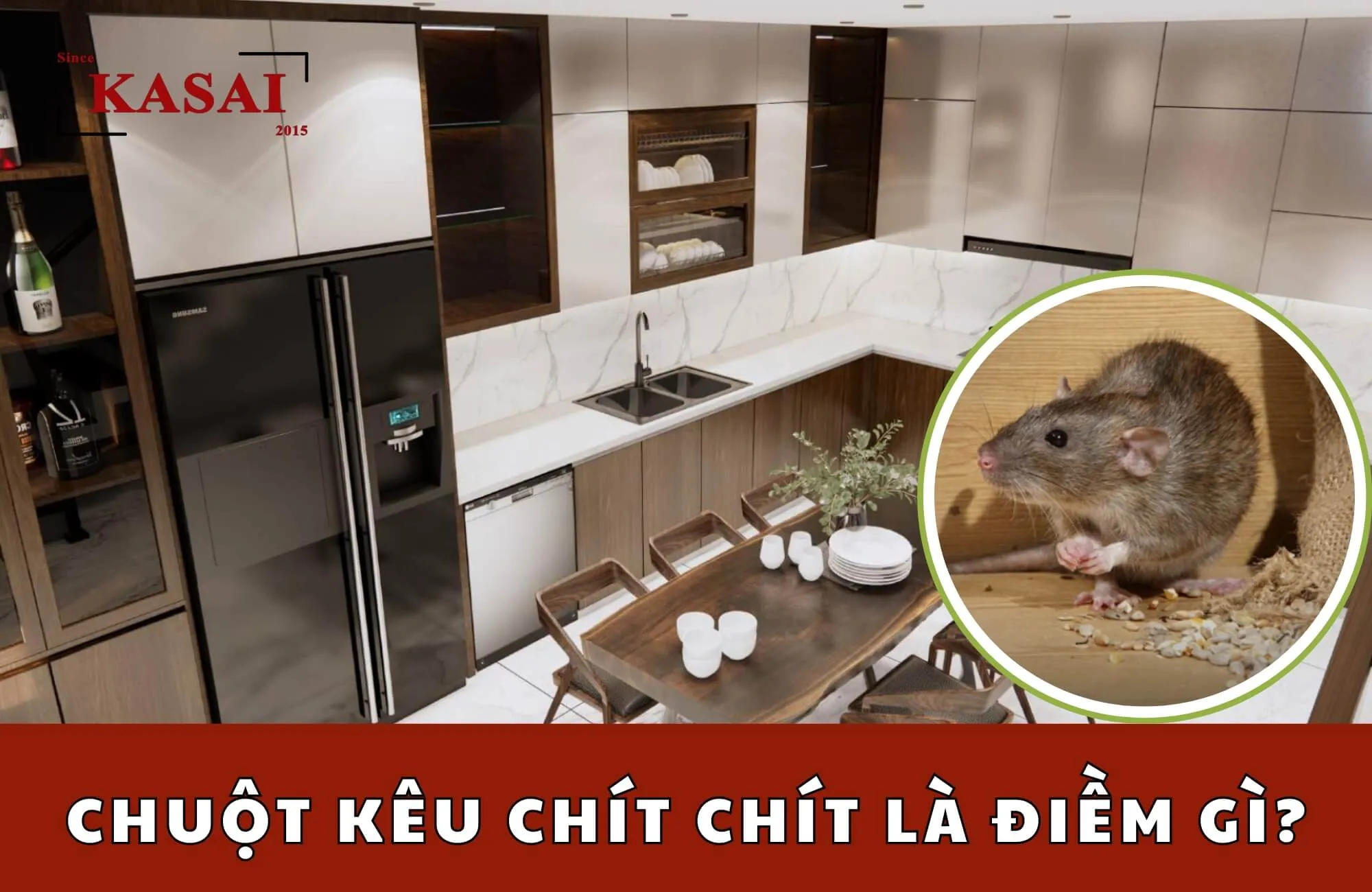 Chuột Hamster Vào Nhà Hên Hay Xui: Giải Mã Điềm Báo Phong Thủy Chính Xác Nhất