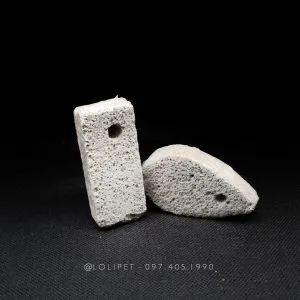 Chuột lang đang gặm một viên đá mài răng hình bông hoa màu sắc rực rỡ, giúp duy trì độ dài răng