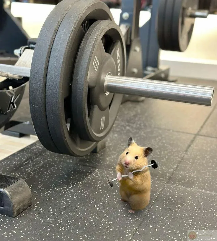 Chuột nhỏ biến thành nhân vật chế cực kỳ nổi bật