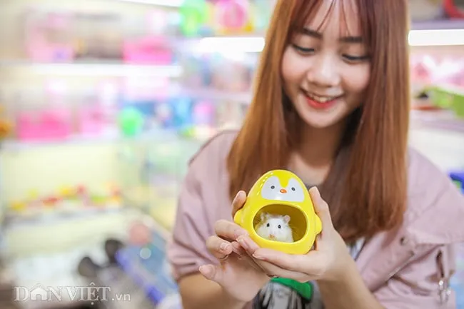 Cô bé Linh Đan chia sẻ về lý do nuôi chuột Hamster