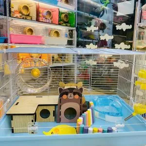 Combo chuồng nuôi hamster full phụ kiện, minh họa cho lồng đa chức năng