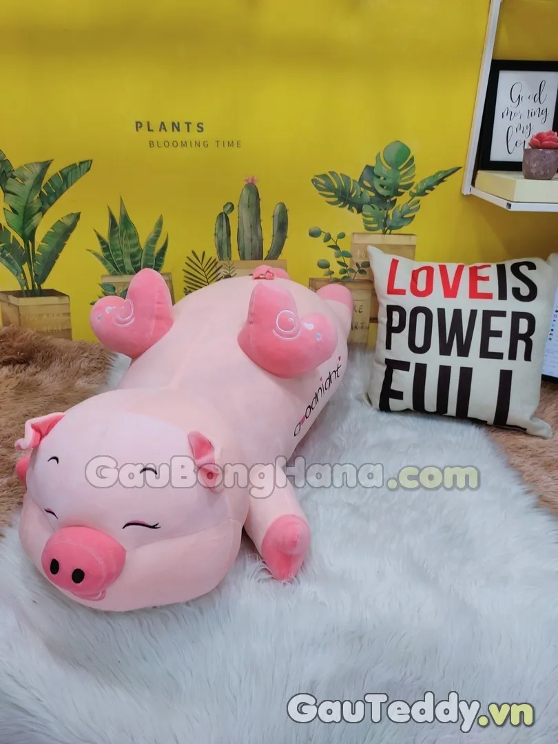 Cung cấp các dòng lót chuồng cho chuột hamster Vũng Tàu: Khả năng thấm hút và khử mùi