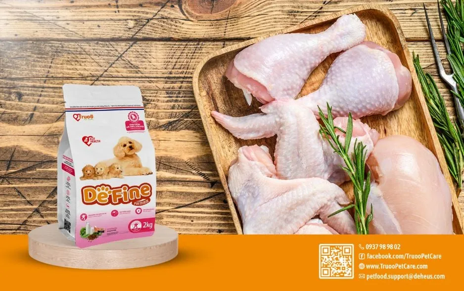 Cung cấp chế độ dinh dưỡng giàu calo và protein cho chó phốc sóc mang thai nhằm đảm bảo thai kỳ khỏe mạnh.