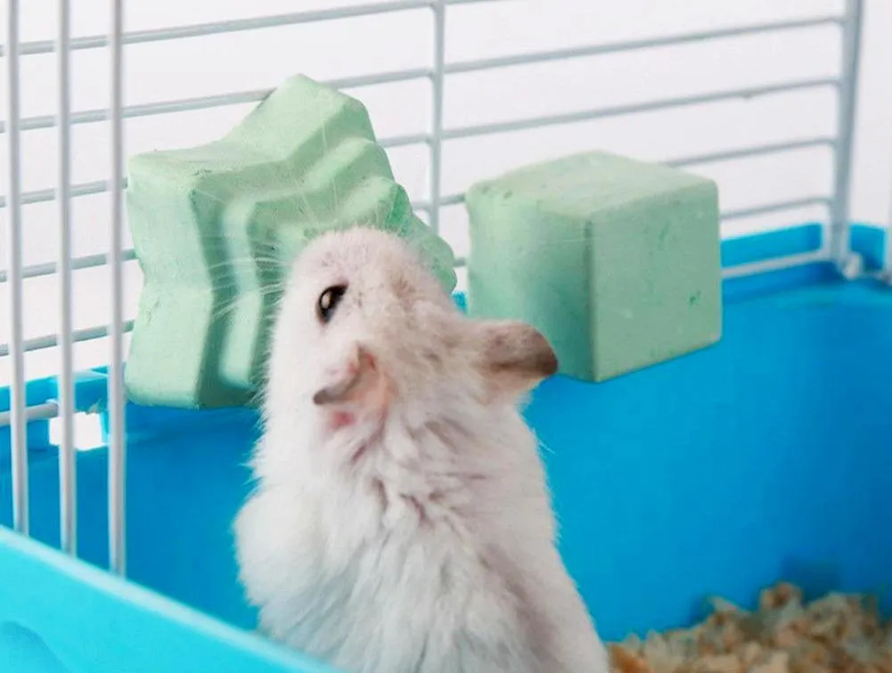 Đá mài răng chuyên dụng, giúp chuột Hamster kiểm soát độ dài của răng cửa