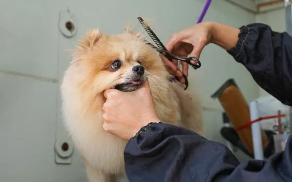 Đảm bảo vệ sinh môi trường sống sạch sẽ là cach cham cho phoc sóc khoẻ mạnh