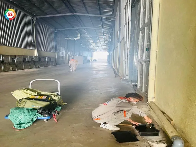 Dấu hiệu cảnh báo nguy hiểm khi phát hiện chuột chù chạy trên trần nhà hoặc gác mái