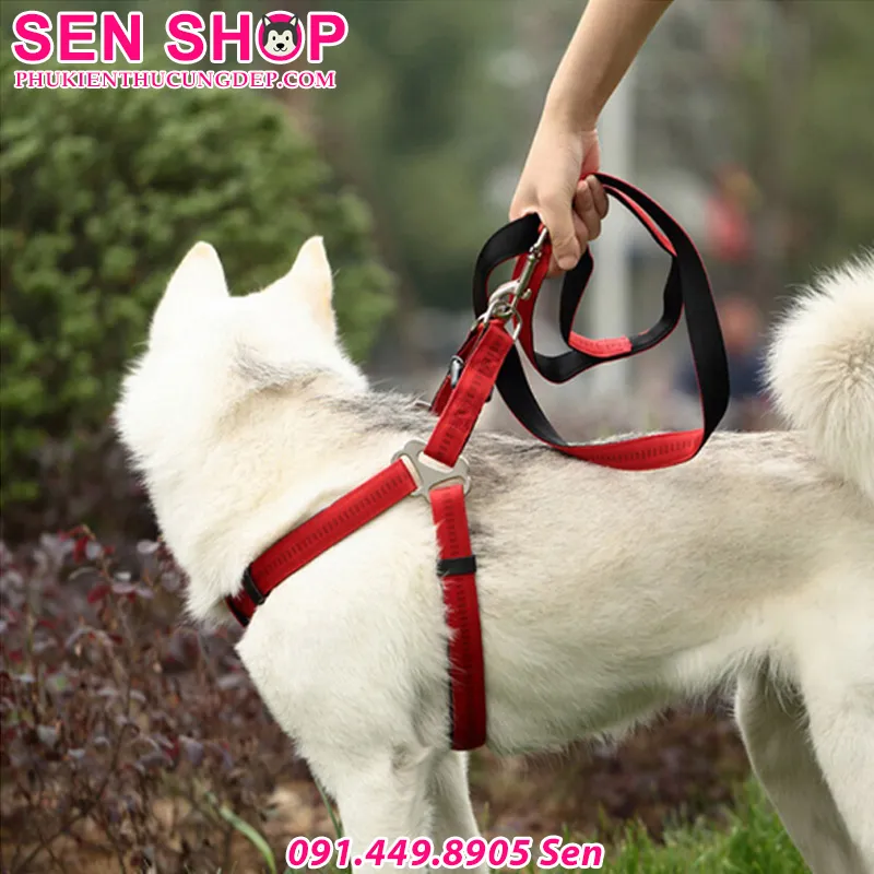 Dây Dắt Cho Chó Alaska Kích Cỡ Lớn Phù Hợp Với Trang Phục Bảo Vệ