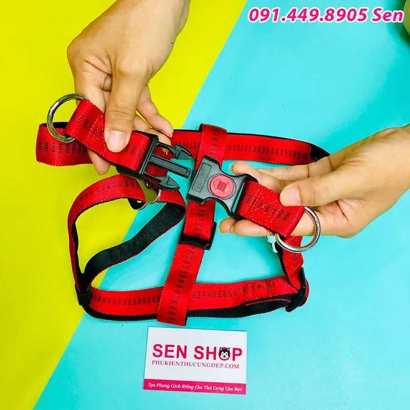 Dây Dắt Dạng Yên Ngựa Dễ Dàng Đeo Cùng Áo Bảo Vệ Cho Chó Alaska