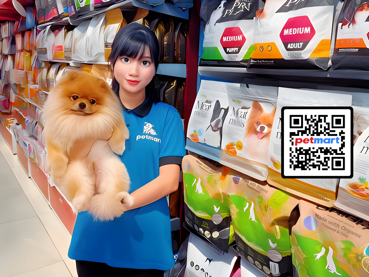 Shop Chuột Hamster Thủ Đức: Hướng Dẫn Mua Và Chăm Sóc Toàn Diện Từ Chuyên Gia