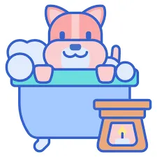 Dịch vụ chăm sóc và vệ sinh cho chó Corgi tại Đà Nẵng, giúp bộ lông mềm mượt