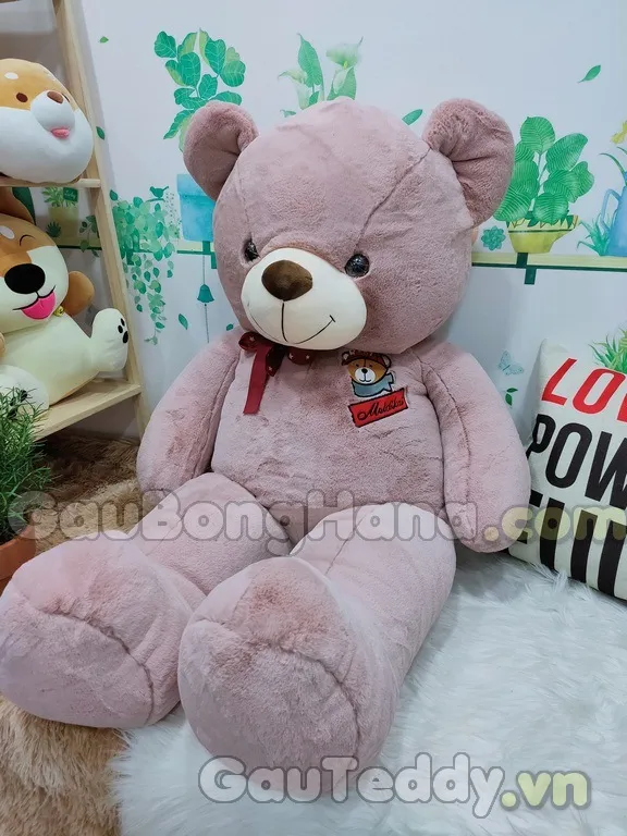 Dịch vụ giao hàng tận nơi cho chuột hamster Vũng Tàu: Đảm bảo tốc độ và chất lượng