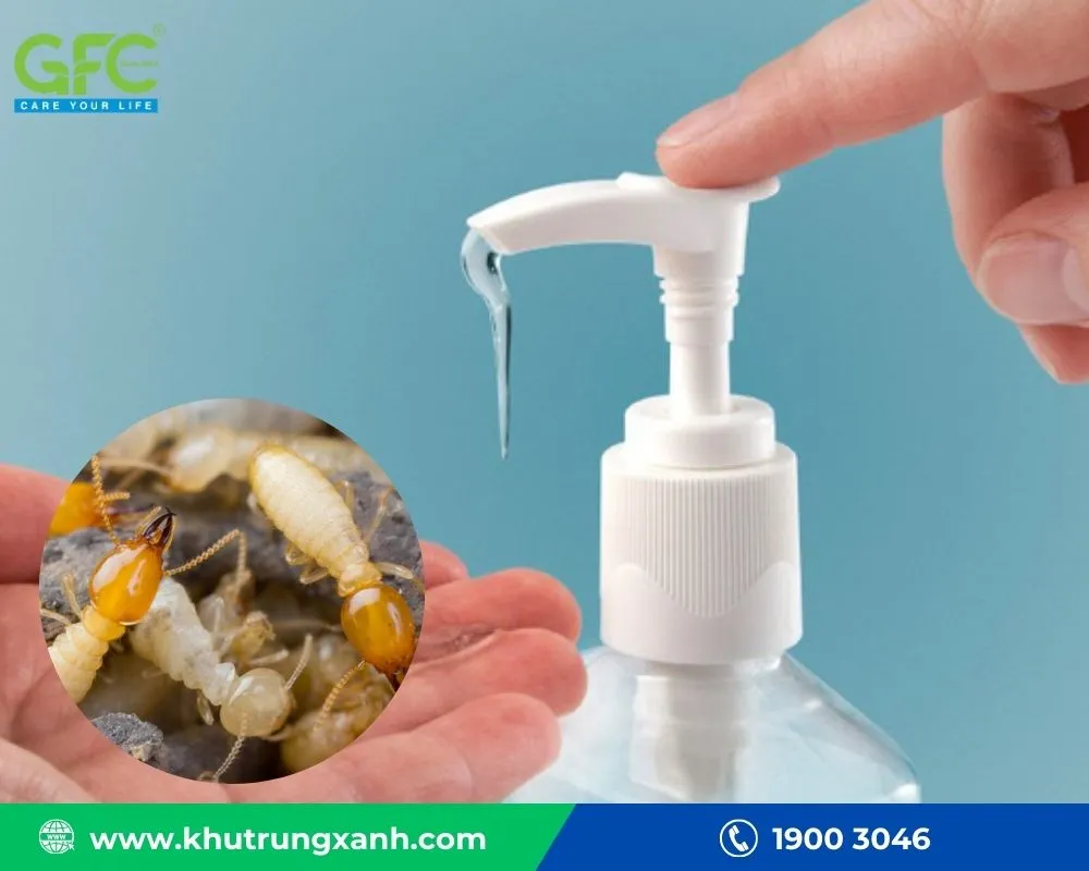 12 Cách Diệt Bọ Chét Cho Mèo Hiệu Quả, An Toàn Tại Nhà