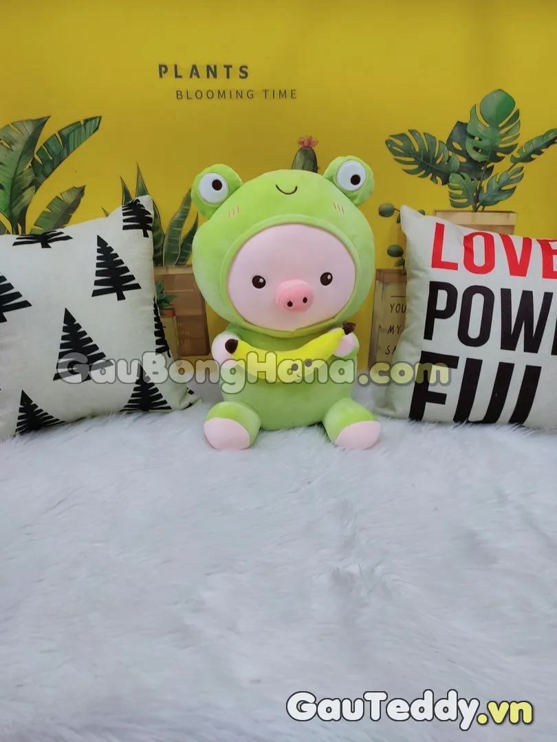 Đồ chơi gặm nhấm cho chuột hamster Vũng Tàu: Duy trì sức khỏe răng miệng