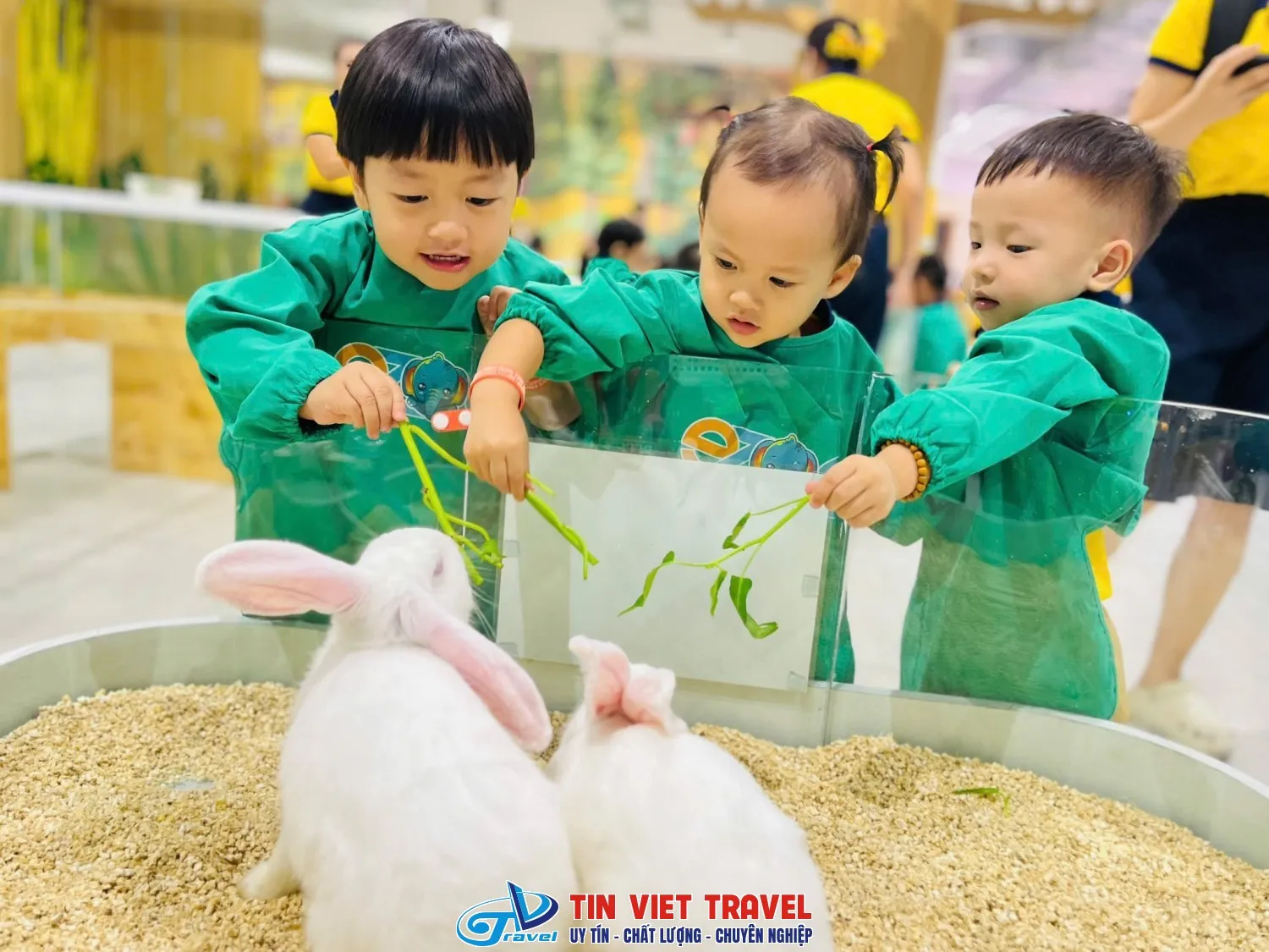 Nơi Bán Đồ Ăn Cho Chuột Hamster Ở Quy Nhơn Chất Lượng Và Uy Tín