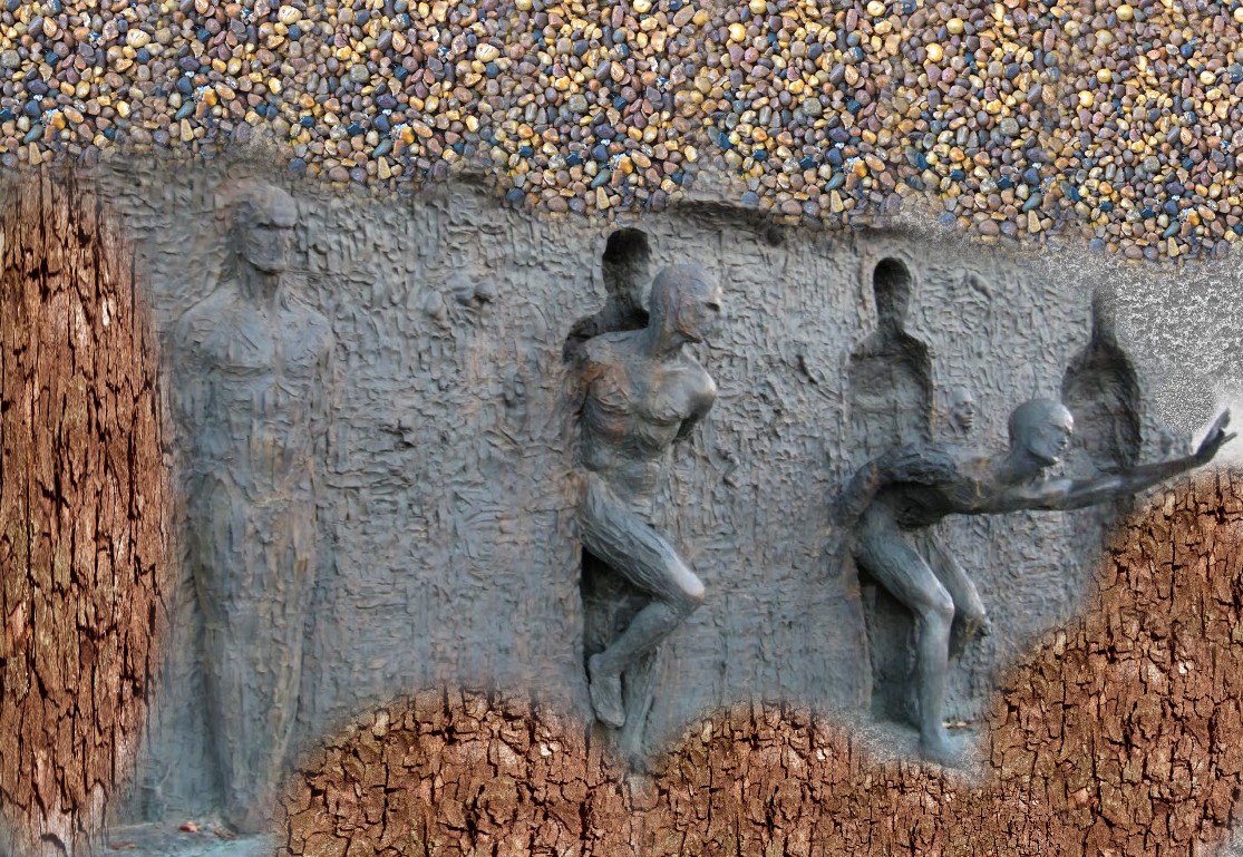 Cách Tắm Cho Chuột Lang Đúng Chuẩn, Đảm Bảo An Toàn Tuyệt Đối