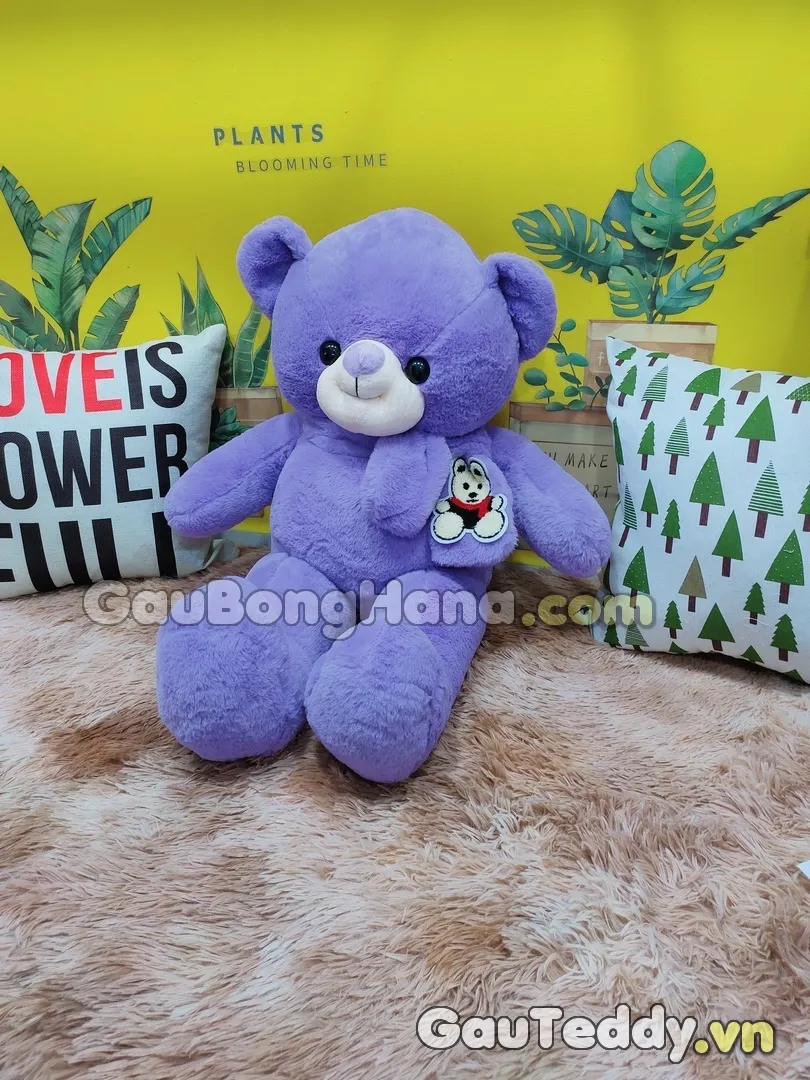 Gấu Bông Teddy Khăn Choàng Tím