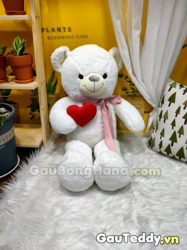 Gấu Bông Trắng Ôm Tim