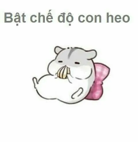 Ghim hình ảnh chuột hamster đáng yêu trên cài đặt zalo