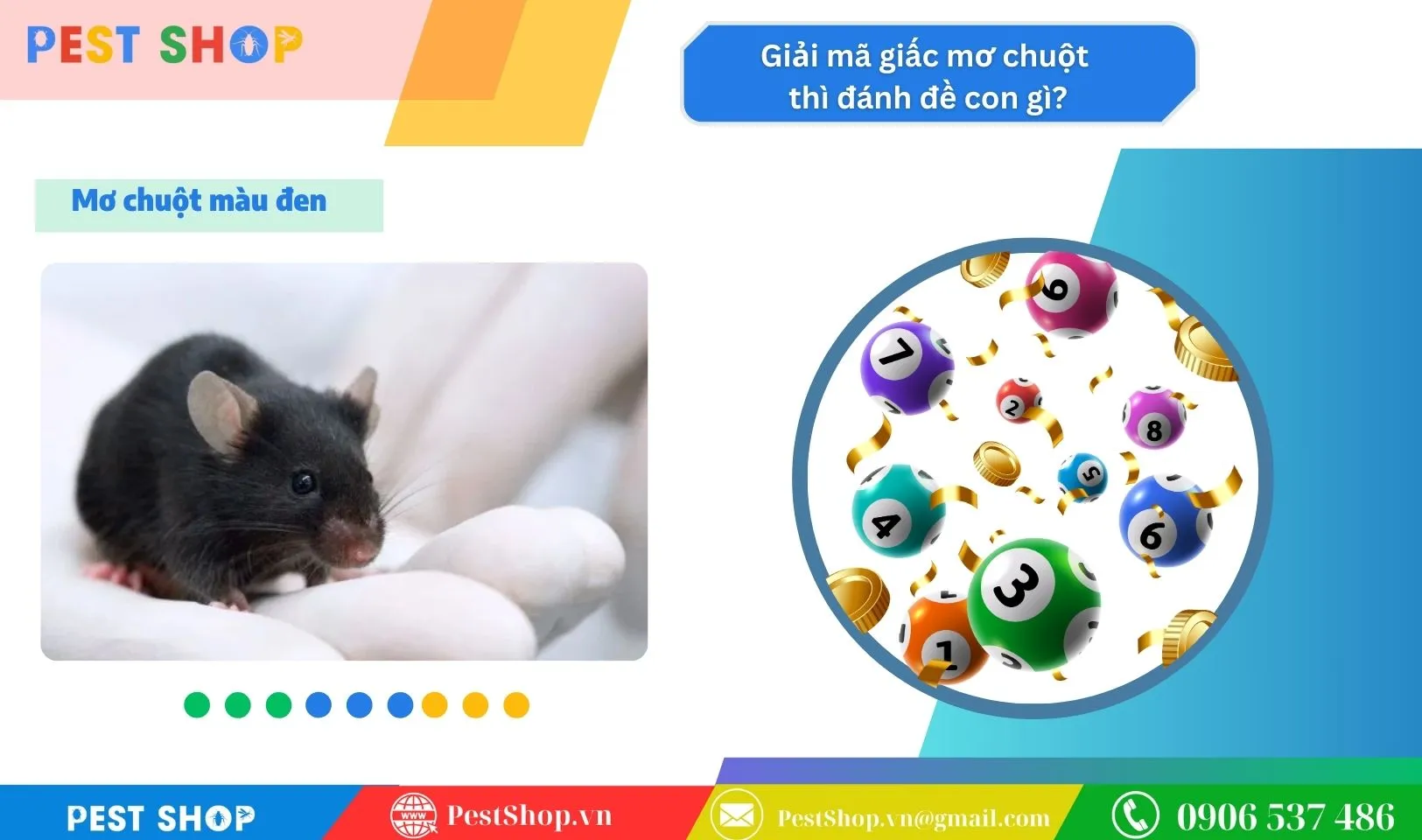 Giải mã giấc mơ thấy chuột màu đen báo hiệu rắc rối trong mối quan hệ, cần cẩn trọng kẻ lừa đảo