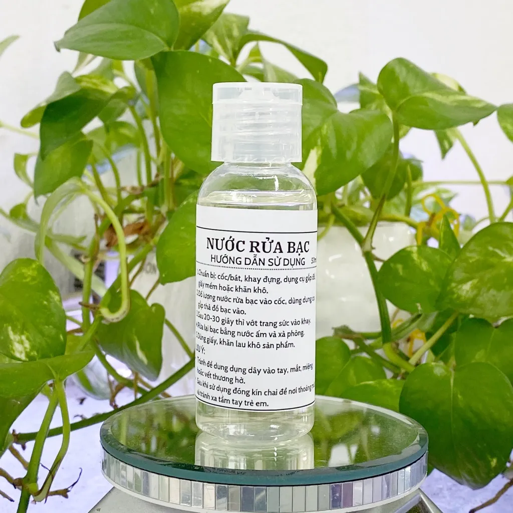 Giống chó Pitbull trưởng thành với cơ bắp cuồn cuộn và bộ lông bóng mượt